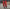 b8551f5df331ba16aef4d79e12433b62